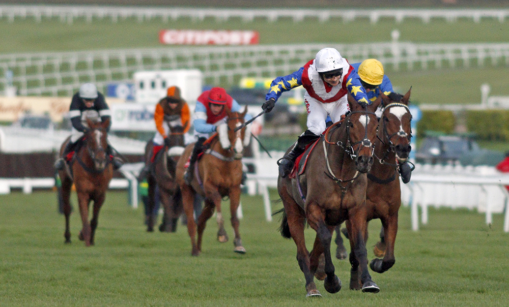 The winner of six hurdle races, Goodbye Dancer (by Dragon Dancer) records his biggest success to date in the Citipost Handicap Hurdle at Cheltenham.