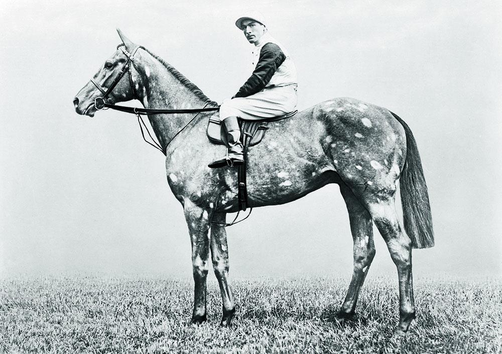 The Tetrarch, (also known as “The Spotted Wonder”), was Champion Sire in 1919, as was his son Tetratema ten years later. Both stood at Ballylinch Stud