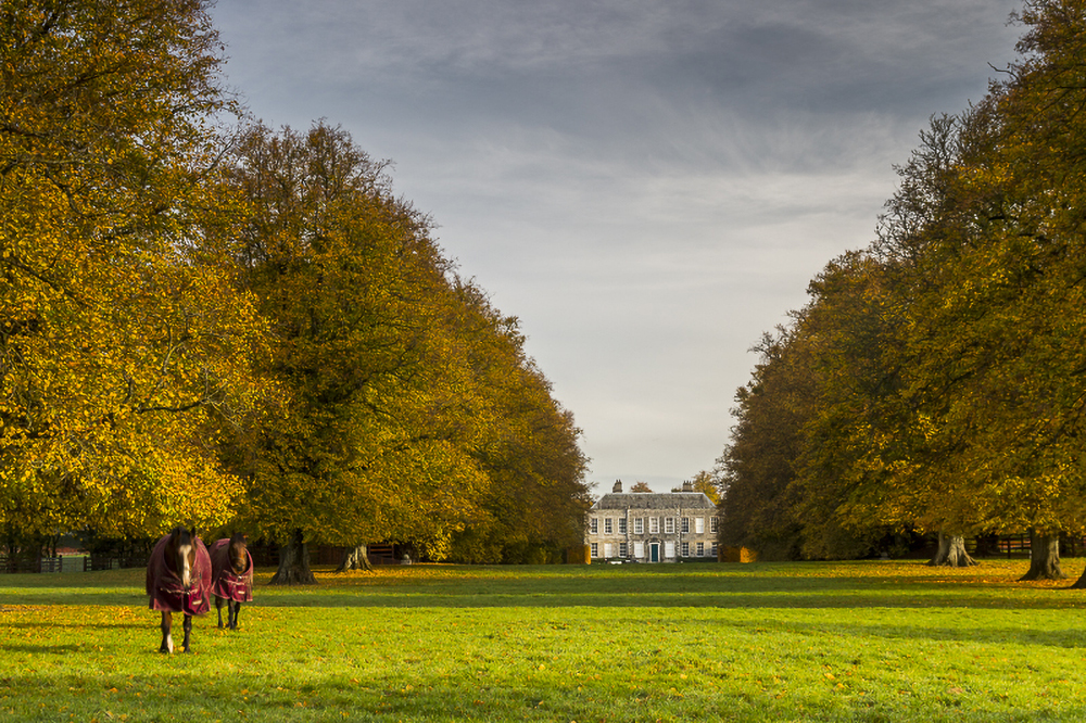 Castlemartin Stud, purchased by the Malones at the same time as Ballylinch, is now home to many of the stud’s broodmares