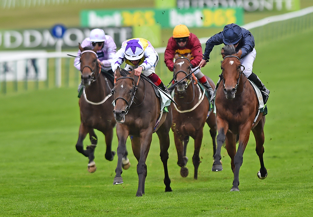 One of two Group winners from New Bay’s first crop, New Mandate (star on cap) takes the Gr.2 Juddmonte Royal Lodge Stakes at Newmarket