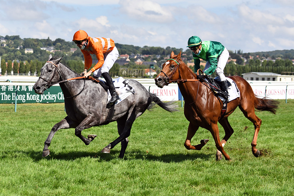 Kendargent’s son Skalleti has shown remarkable consistency, winning 12 of his 17 starts, including five Group races.