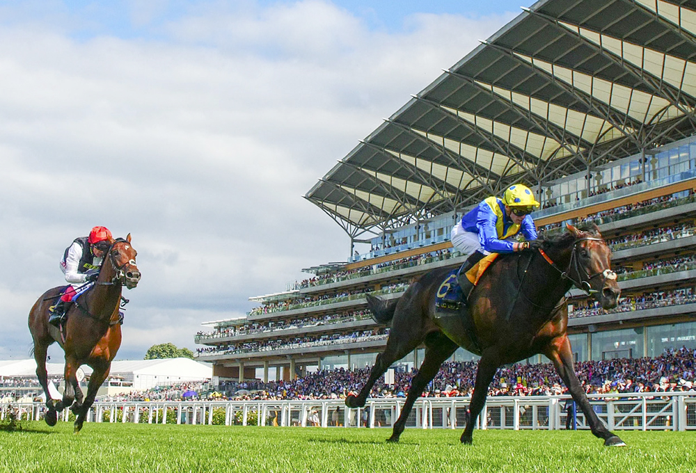 Poet’s Word was rated the Champion Older Horse in Europe (L) in 2018 after victories in the Group 1 King George VI & Queen Elizabeth Stakes and Group 1 Prince of Wales’s Stakes (above, beating Cracksman)
