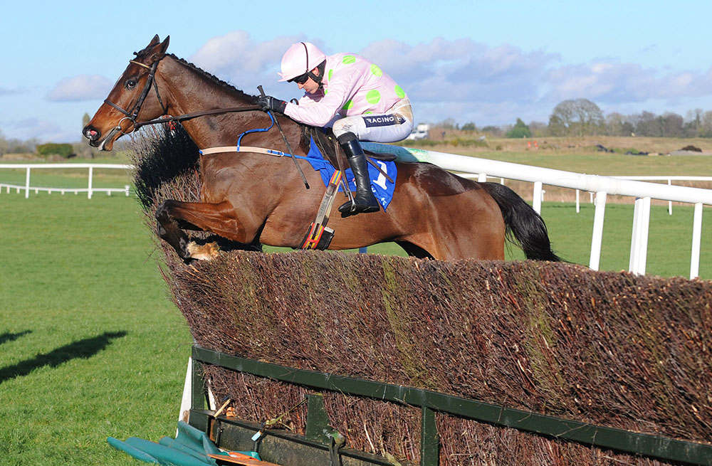 The eight-time Grade 1 winner, Douvan, whose half brother was sold to JP McManus for a record £570,000 at the Goffs UK November Sale at Yorton last year. That record was subsequently equalled at the following month’s Goffs UK December Sale.