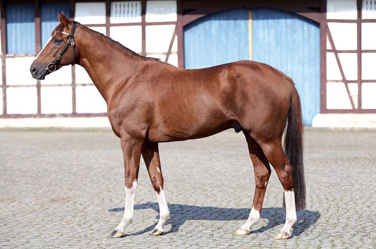 Gestüt Schlenderhan’s Adlerflug, who died last month at the age of 17