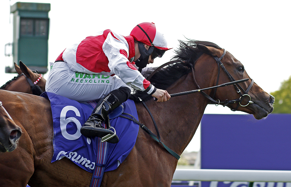 Cable Bay’s daughter, Liberty Beach, seen here winning the Group 2 Temple Stakes, now bids for Group 1 glory in the King’s Stand Stakes at Royal Ascot