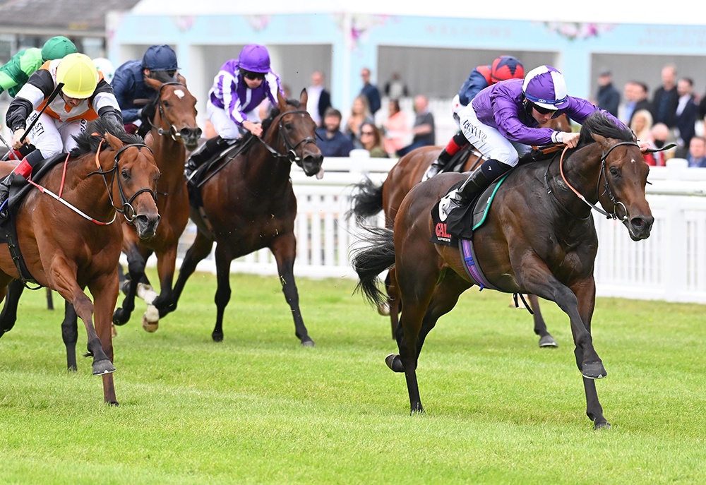 Go Bears Go wins the Group 2 Railway Stakes at the Curragh. At the time of writing, he is the highest rated juvenile colt in Europe.