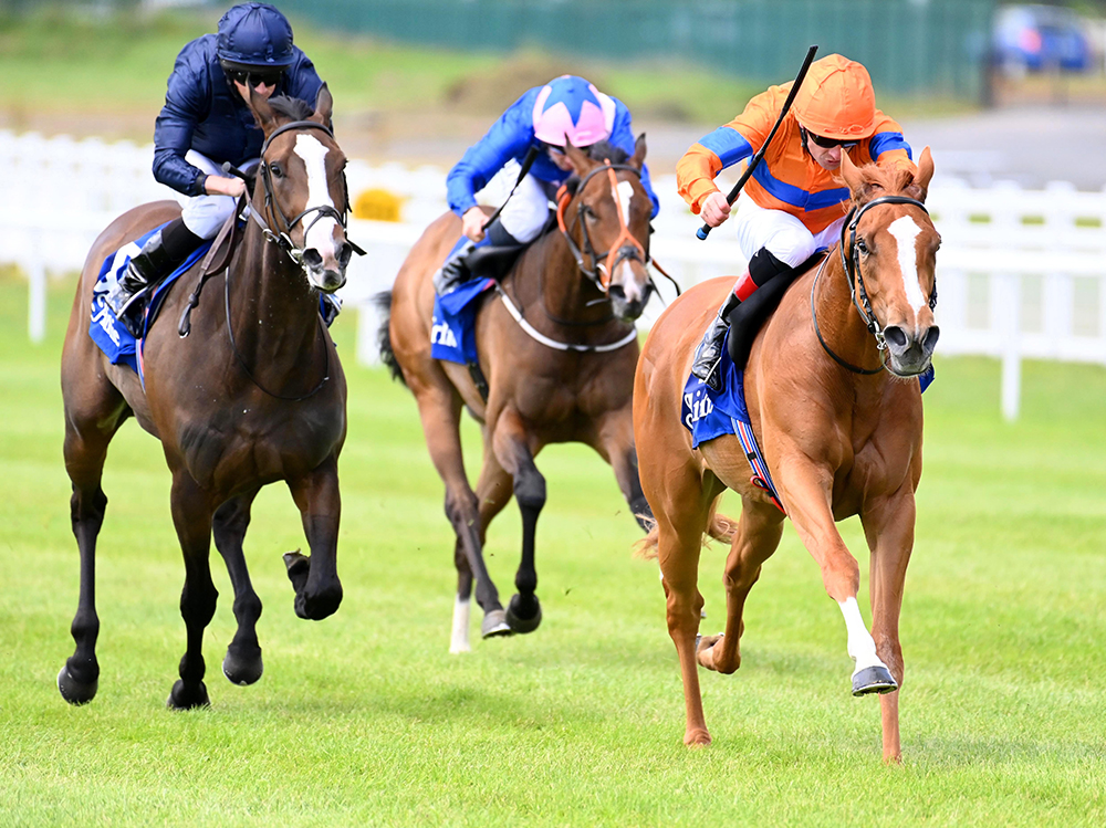 The 2yo Velocidad (right), seen here winning the Airlie Stud Stakes at the Curragh, is one of five individual Group 2 winners for Gleneagles in 2021.