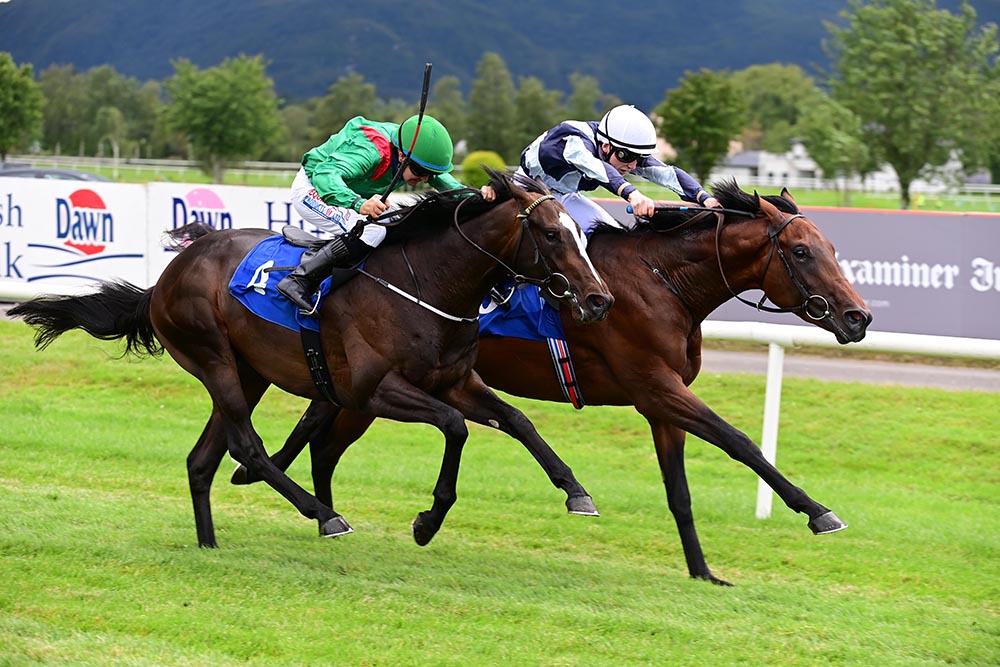 Piz Badile (far side, by Ulysses) won with a bit in hand on his debut, and the third horse, who was beaten four and a half lengths, franked the form by finishing just one and a half lengths behind Atomic Jones in the Group 2 Champions Juvenile Stakes.