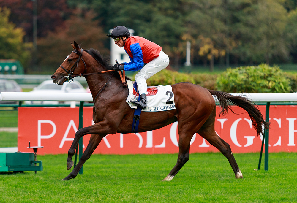 Alson crosses the line with his ears pricked to win the Group 1 Prix Jean-Luc Lagardère at Longchamp. His pedigree features a healthy combination of stamina and speed.