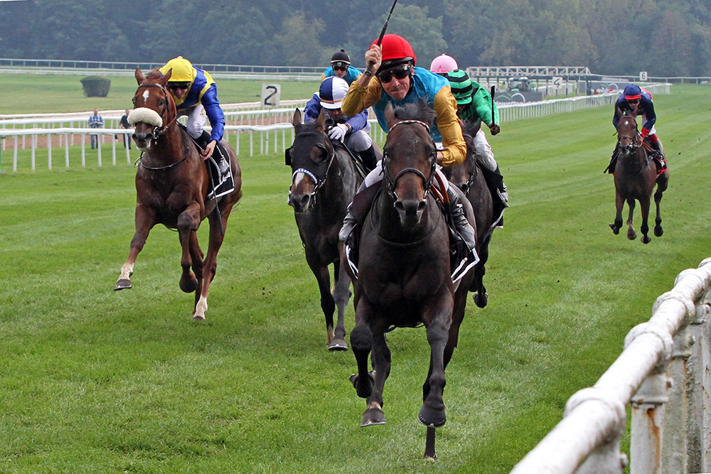 The Deutsches Derby hero Windstoss is shown notching up his second Group 1 victory in the Preis von Europa. His half brother, Weltstar, also won the Deutsches Derby, as did his sire, Shirocco (by Monsun).