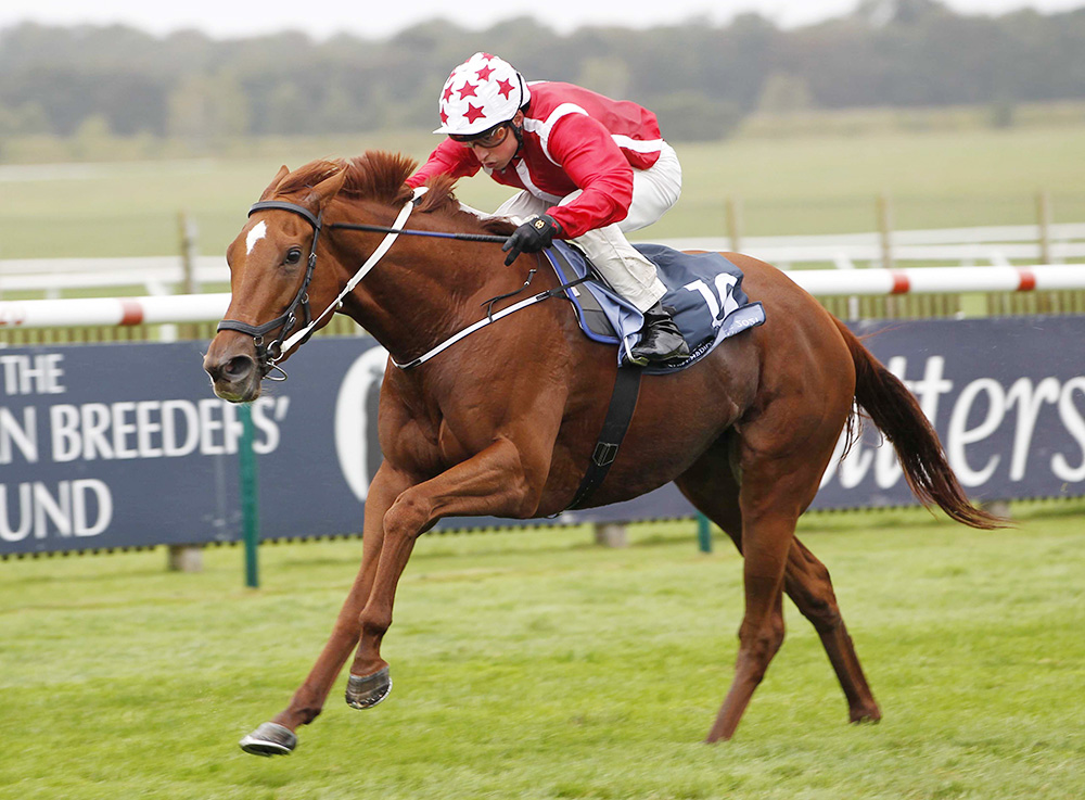 New Bay’s daughter, Saffron Beach strides home to win the Gr.1 Kingdom of Bahrain Sun Chariot Stakes at Newmarket by an impressive three lengths.