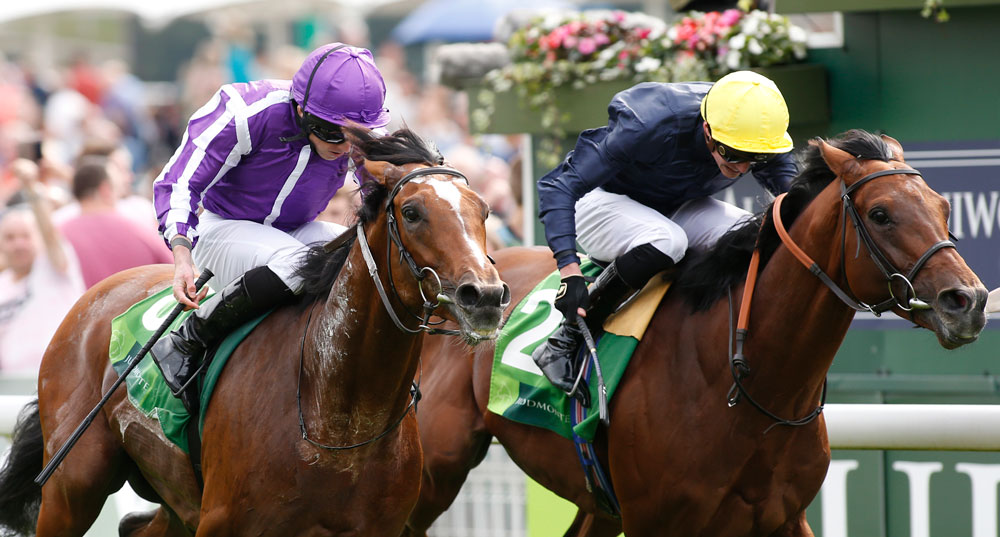 Japan (nearside) records the second of his Group 1 successes in the Juddmonte International Stakes at York, beating Crystal Ocean in a photo finish