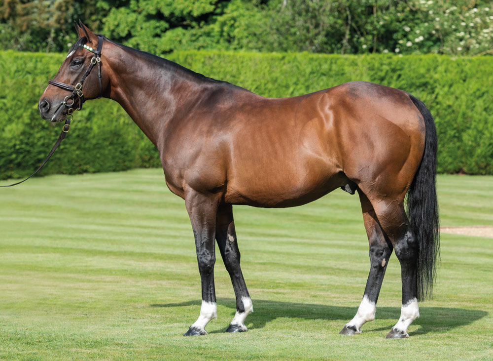 Frankel, who has had 42 Stakes winners from his first two crops, which represents 22.5% of his runners