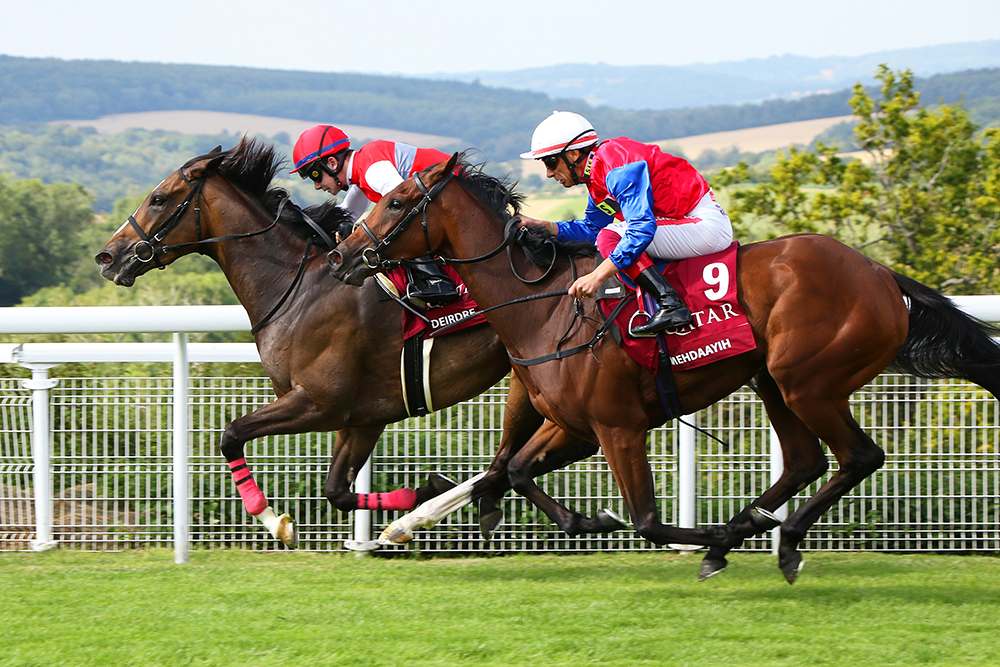 The globetrotting Deirdre, whose most important international success came in the Gr.1 Nassau Stakes at Goodwood