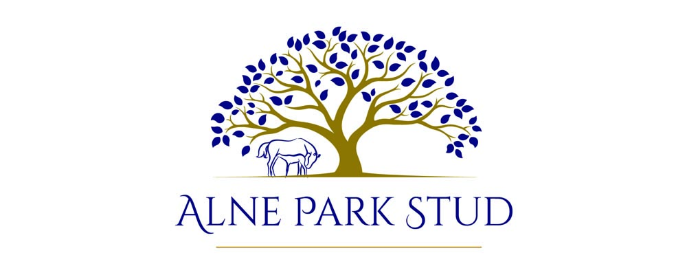 ALNE PARK STUD