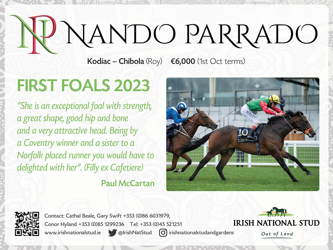 Home Banner Advert