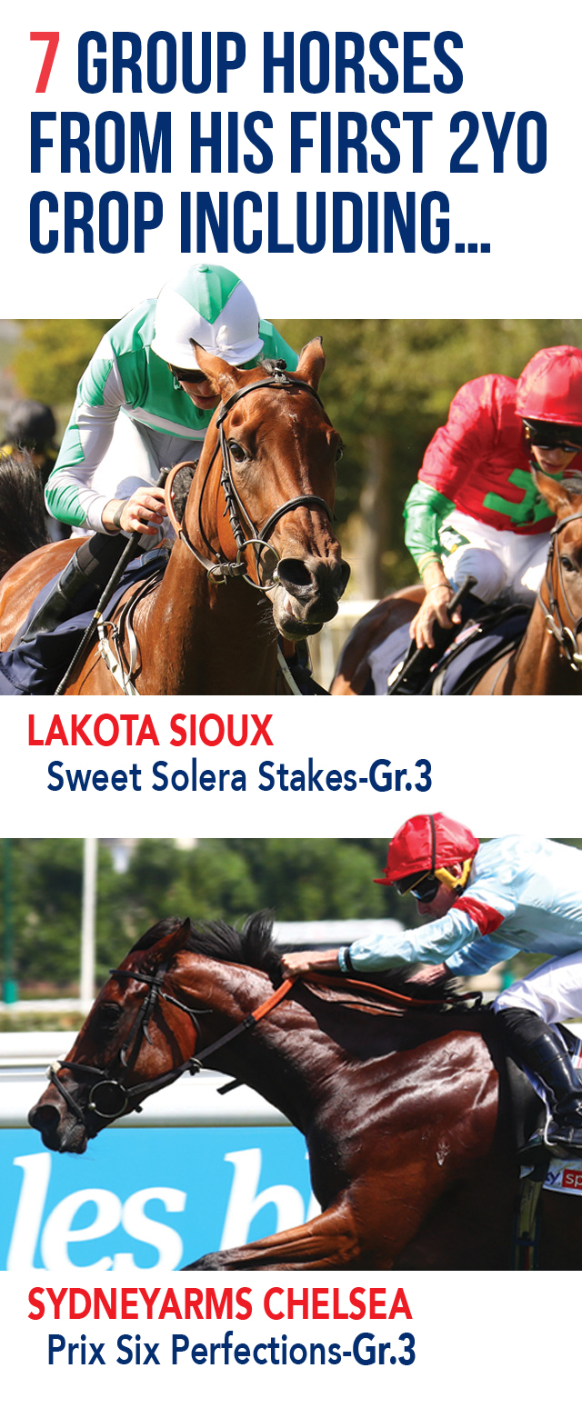 SIOUX NATION Thoroughbred Stallion Guide