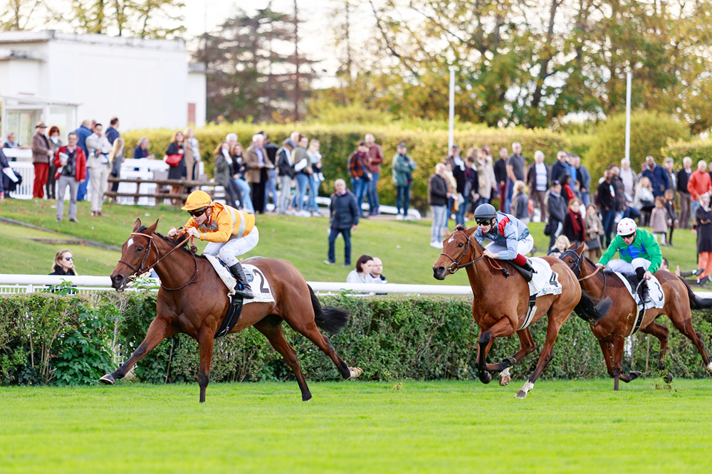 The dual Group 3 winner and Group 2 placed Spirit of Nelson, whose dam is among the quality mares visiting The Grey Gatsby in 2023.