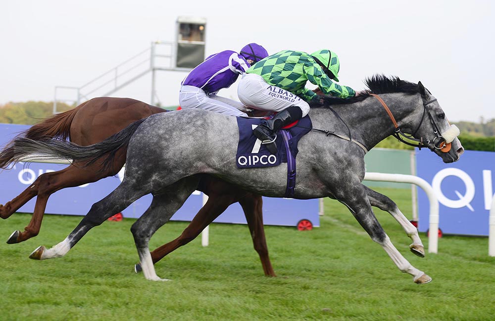 The Grey Gatsby avenges his defeat by Australia in the Juddmonte International, by beating him into second place in the Group 1 Irish Champion Stakes.