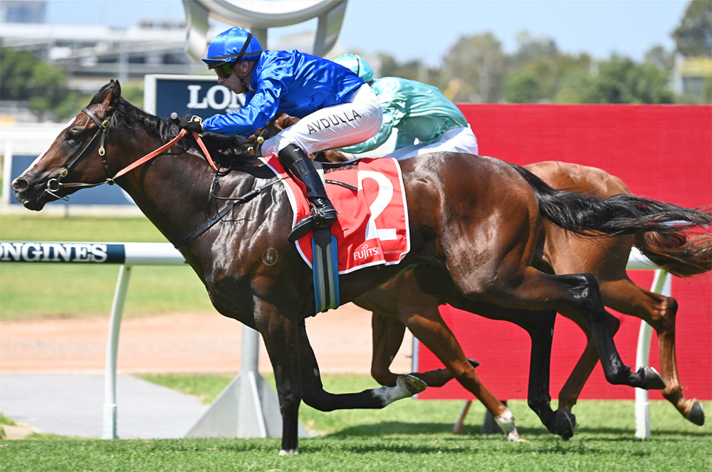 One of Australia’s leading 2yos, Cylinder recently completed a Group 2 double in the Silver Slipper (above) and Todman Stakes.