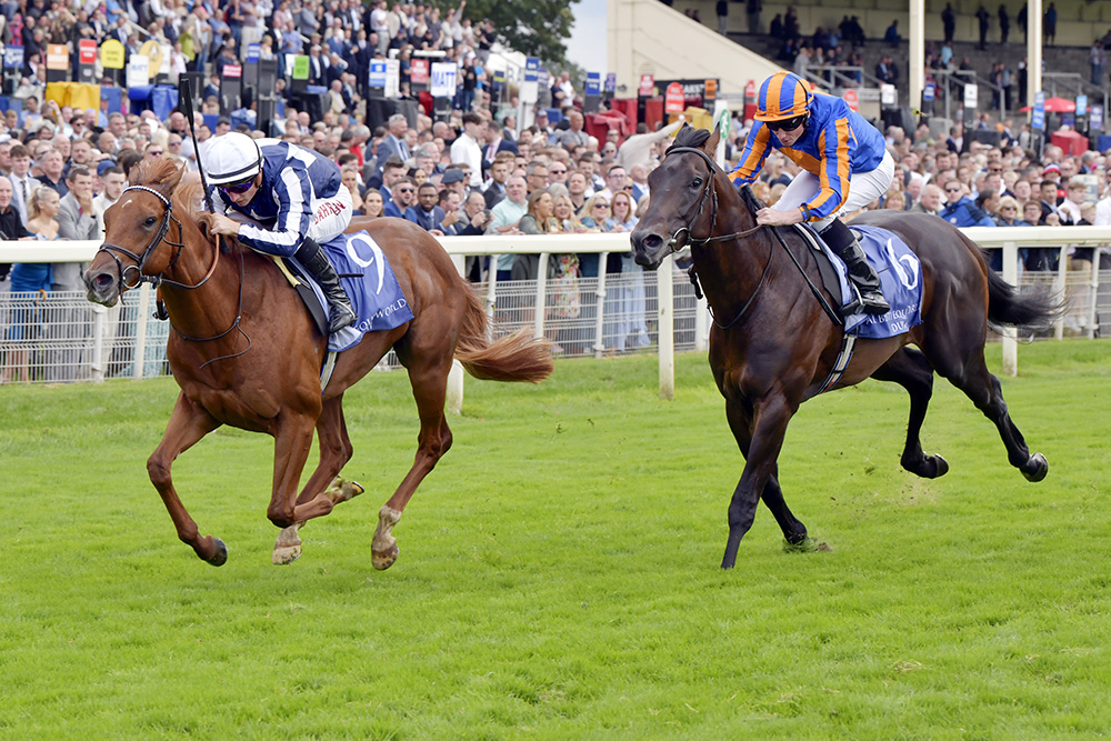 The Group 2 Gimcrack Stakes winner Lake Forest (No Nay Never) hails from a family with Group 1 connections and has obvious appeal as a potential stallion