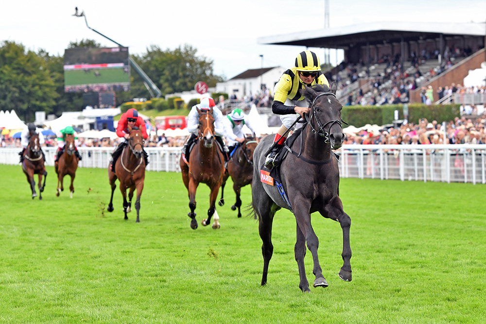 Vandeek ran out a comfortable winner of the Group 2 Richmond Stakes before going on to achieve Group 1 glory in the Prix Morny