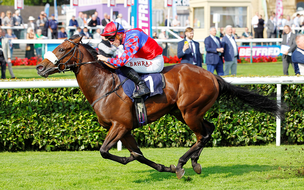 Big Evs wins his third Stakes race, the Group 2 Flying Childers Stakes. The Blue Point colt has the pedigree to make a stallion