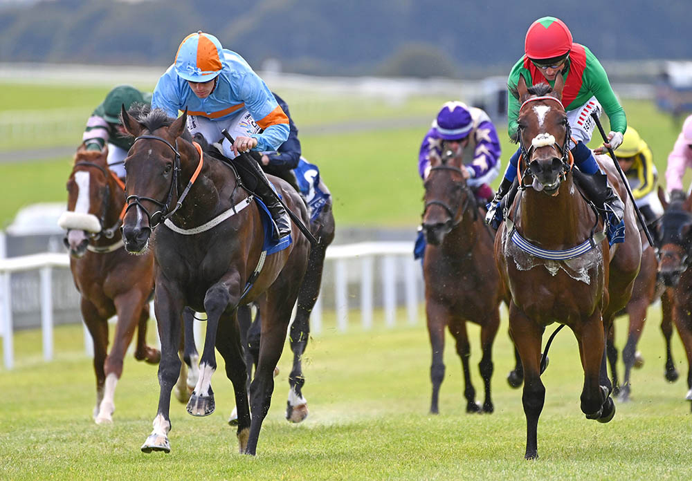 Group 3 Round Tower Stakes winner Letsbehonestaboutit (left) is a son of Sioux Nation from the family of Lowther Stakes winner Dance Sequence