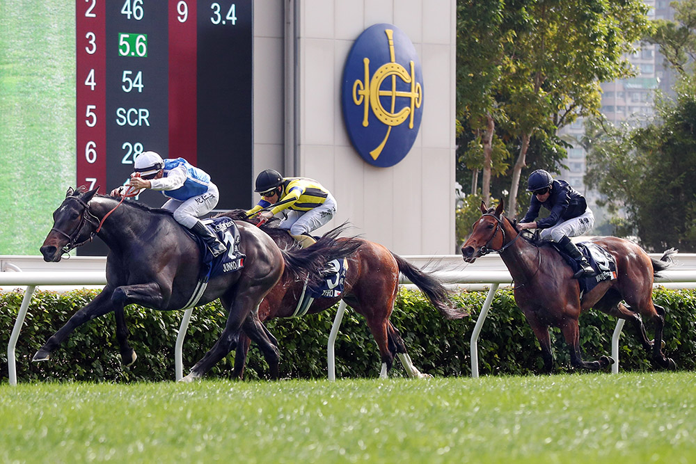 Intello’s dual Group 1 winner, Junko, added to his sire’s international reputation when winning the Hong Kong Vase at Sha Tin in December.