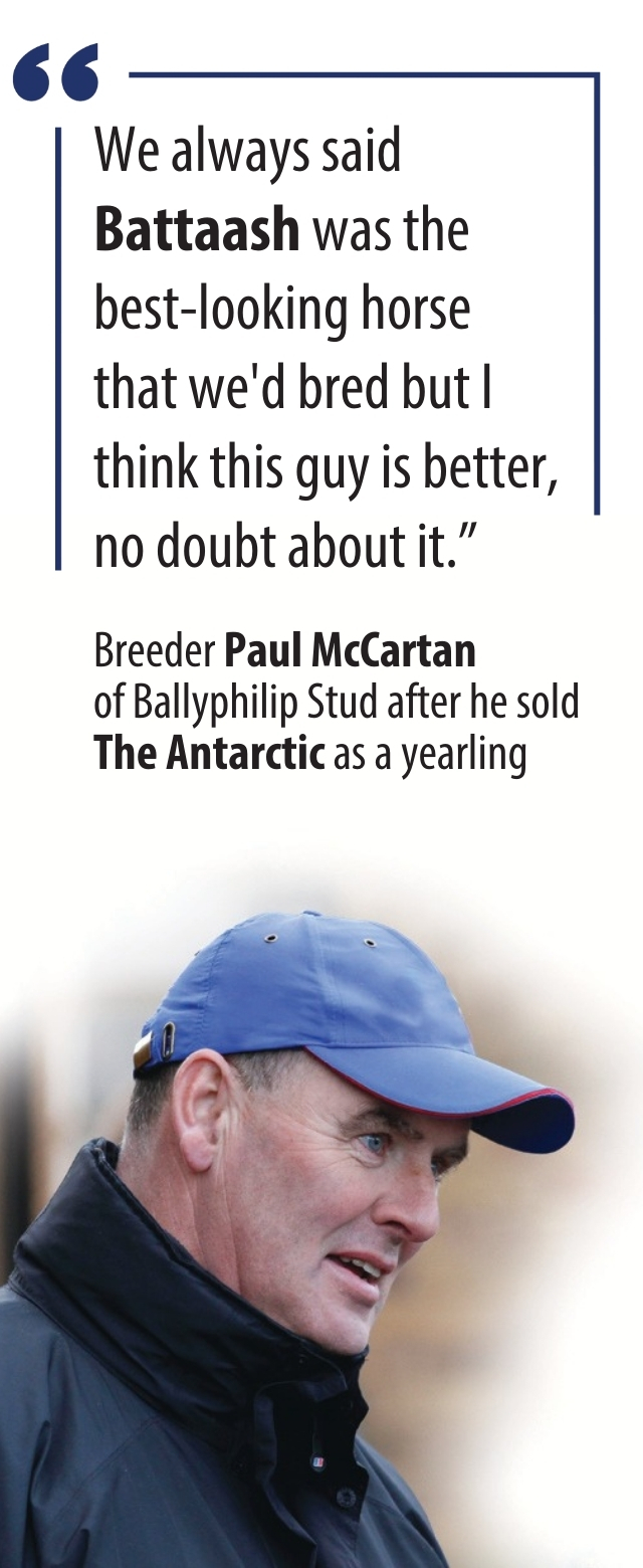 The_Antarctic_vertical.jpg