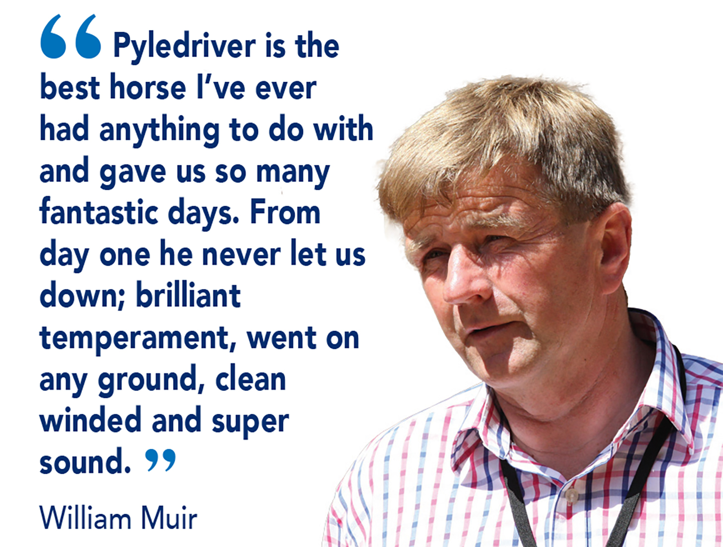 Pyledriver_horizontal.jpg