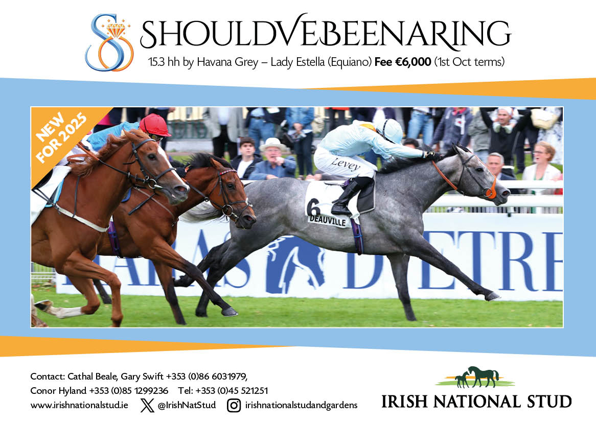 Home Banner Advert