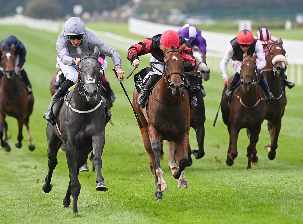 The 2yo Fallen Angel becomes Too Darn Hot’s first Group 1 winner when landing the Moyglare Stud Stakes at the Curragh
