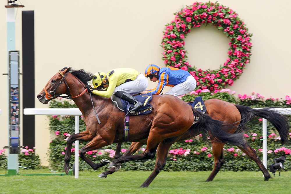 Blue Point’s triple Group 1 winner, Rosallion, wins the St James’s Palace Stakes at Royal Ascot from Henry Longfellow.