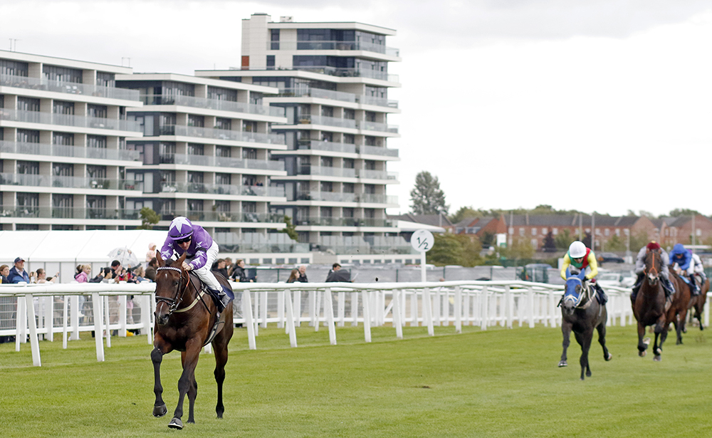Into The Sky (Starman) makes a spectacular 71/2 length winning debut at Newbury. He returned to that track a month later in the Group 2 Mill Reef Stakes where he just failed to hold off the late challenge of Words Of Truth