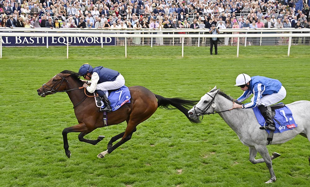 Royal Fixation (Palace Pier) captures the Group 2 Lowther Stakes at York, after having been narrowly thwarted by Venetian Sun in the Duke of Cambridge