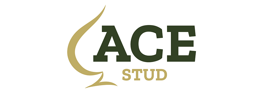 ACE STUD