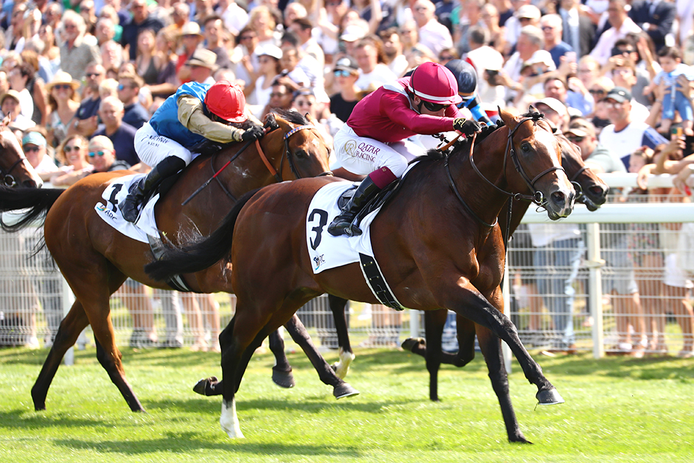 Sajir became Make Believe’s second Group 1 winner when landing the Prix Maurice de Gheest at Longchamp in August. Royal Supremacy has subsequently added to that total in Australia