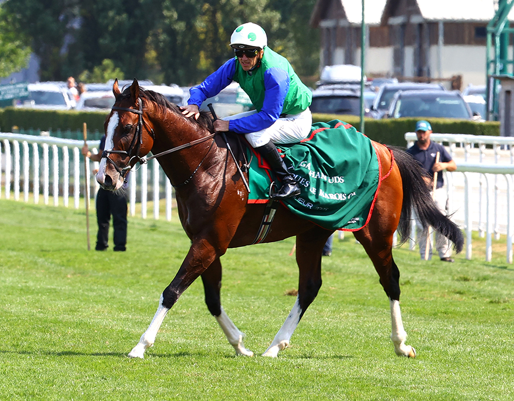 Diego Velazquez_Big.jpg