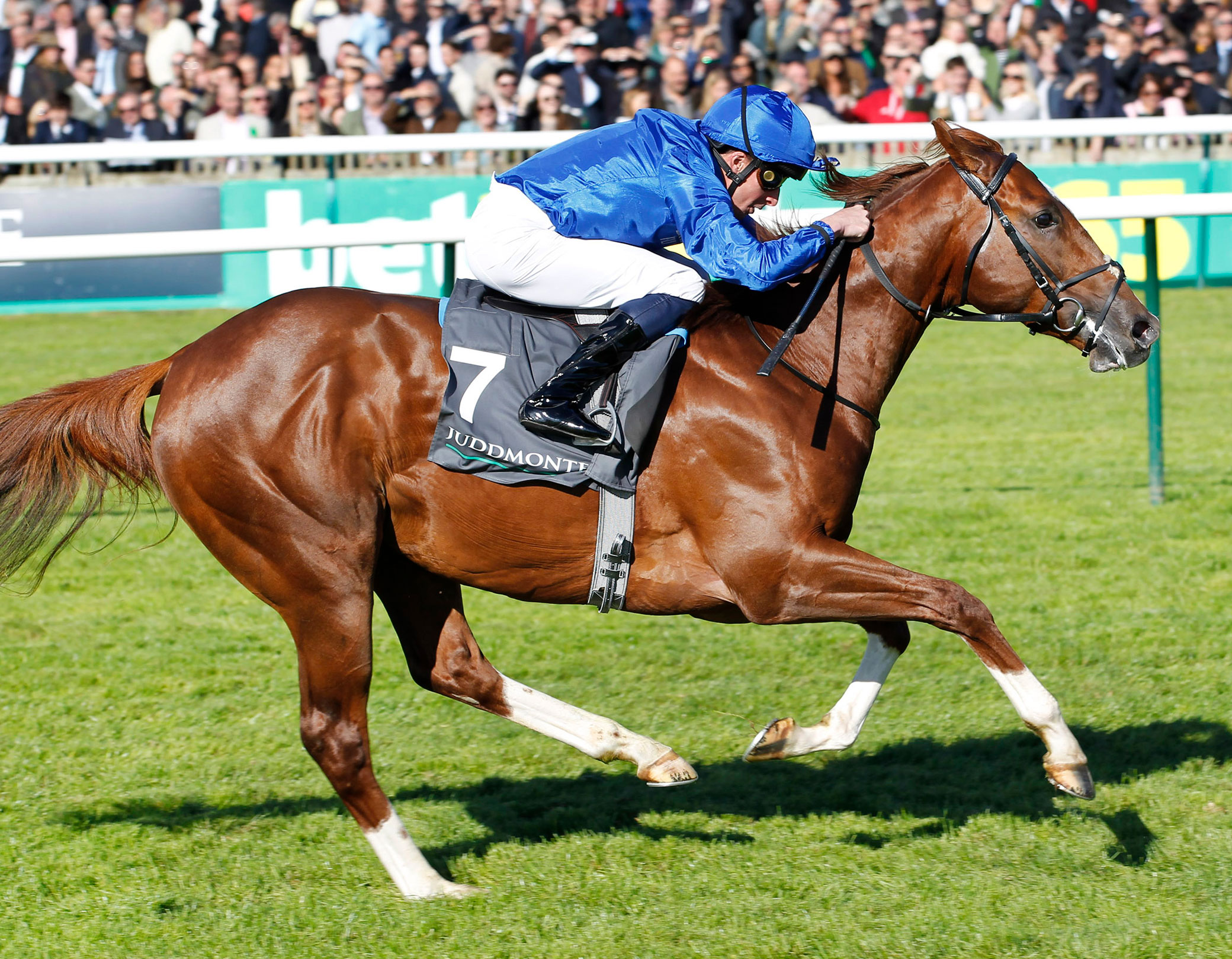 Shadow Of Light_Big.jpg