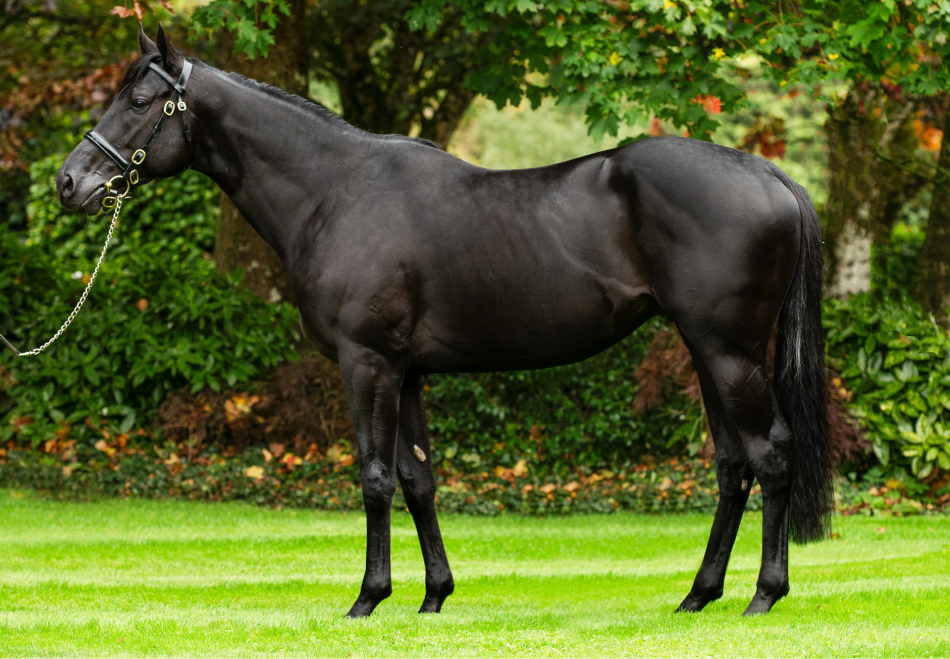 Camille Pissarro_Big.jpg