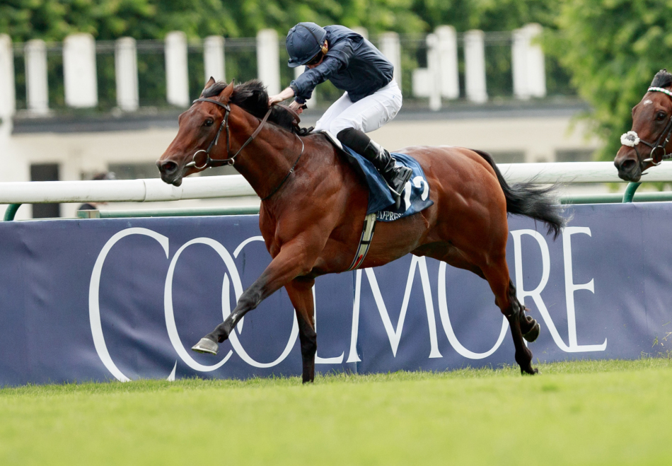 Henri Matisse_Big.jpg