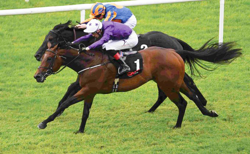 Arizona Blaze_Big.jpg