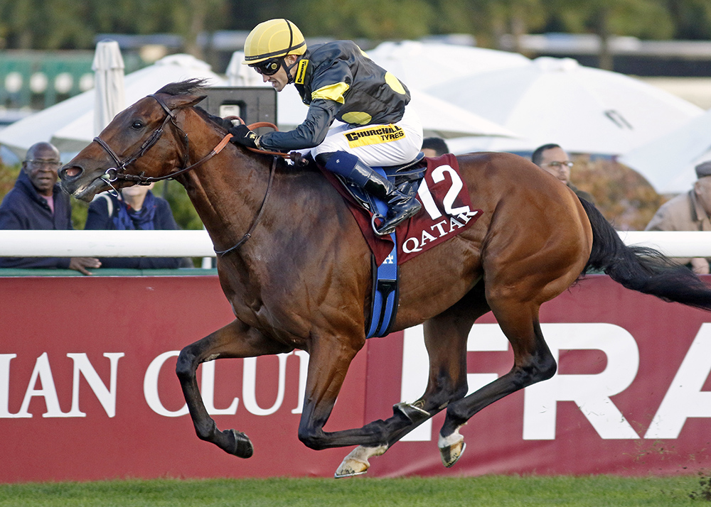 Maranoa Charlie_Big.jpg