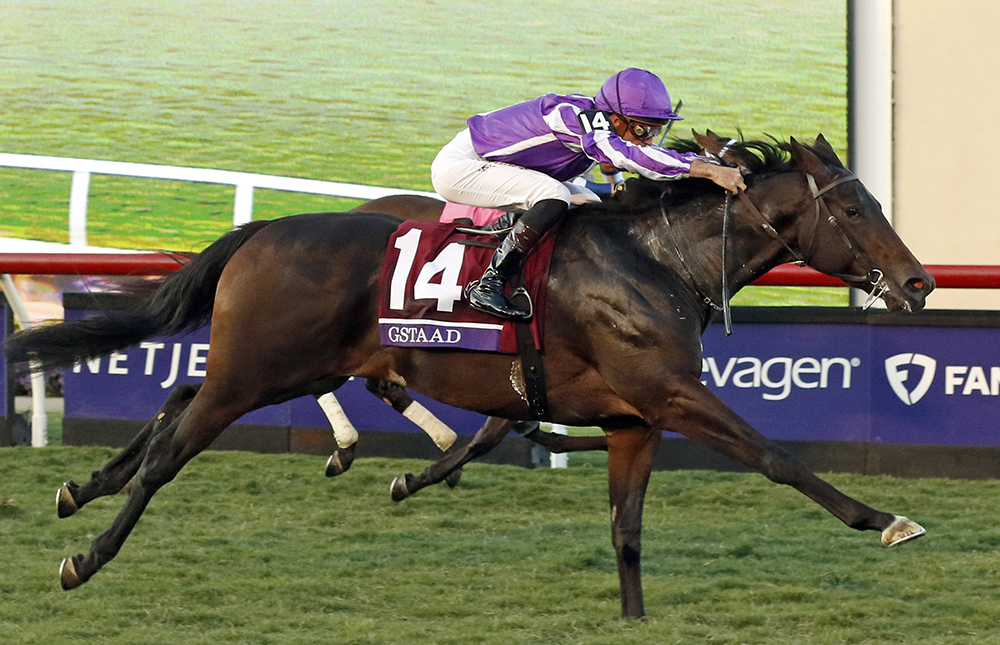 Gstaad, winner of the Gr.1 Breeders’ Cup Juvenile Turf, was one of two top level scorers in 2025 for his sire, Starspangledbanner