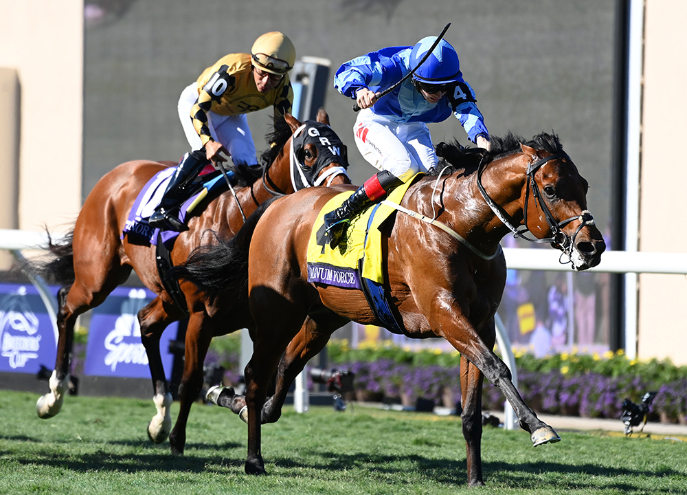 Magnum Force_Big.jpg