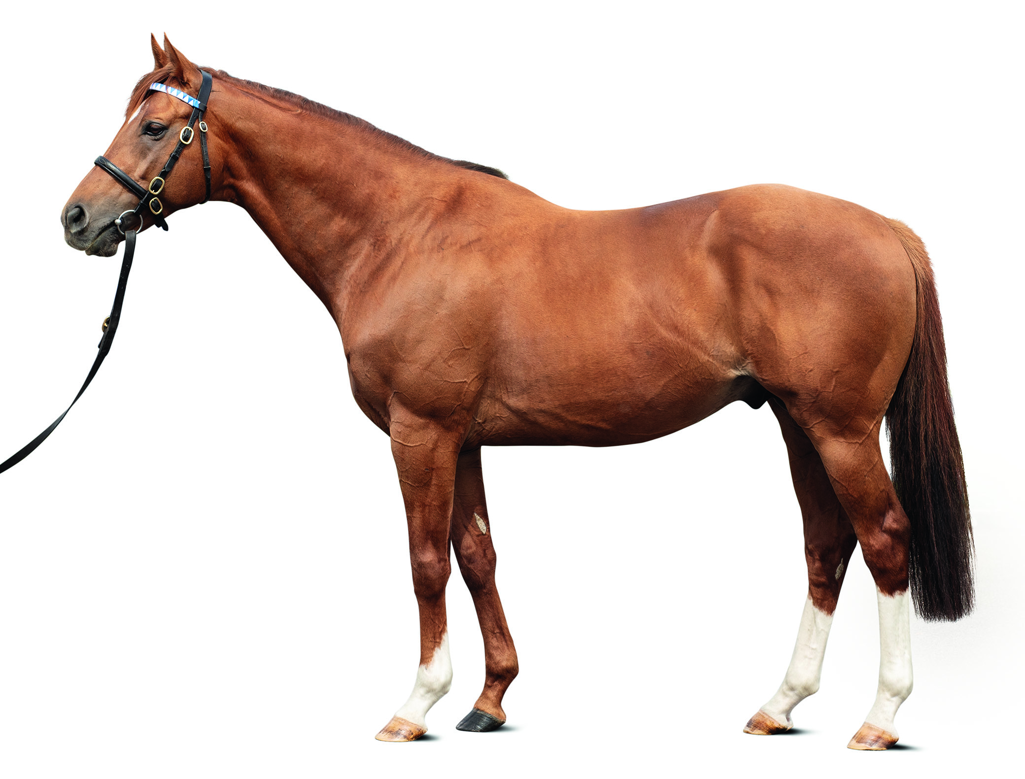 Modern Games_Big.jpg