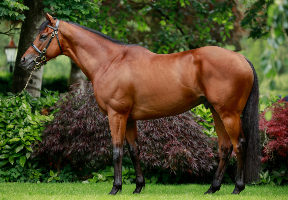 Henry Longfellow_Big.jpg