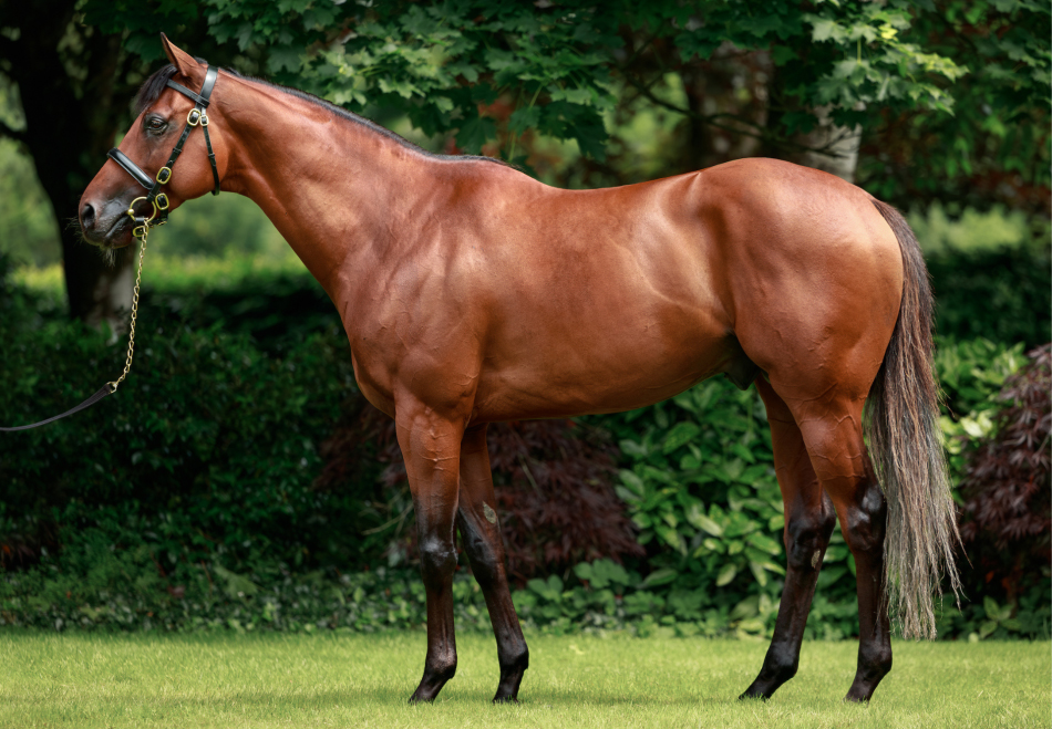 City Of Troy_Big.jpg