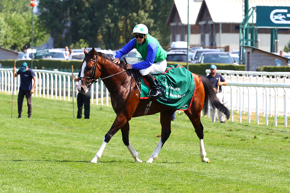 Diego Velazquez_Big.jpg